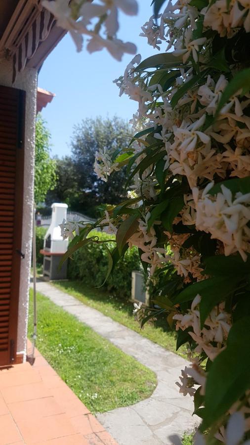Villetta Cinquale Versilia Kültér fotó
